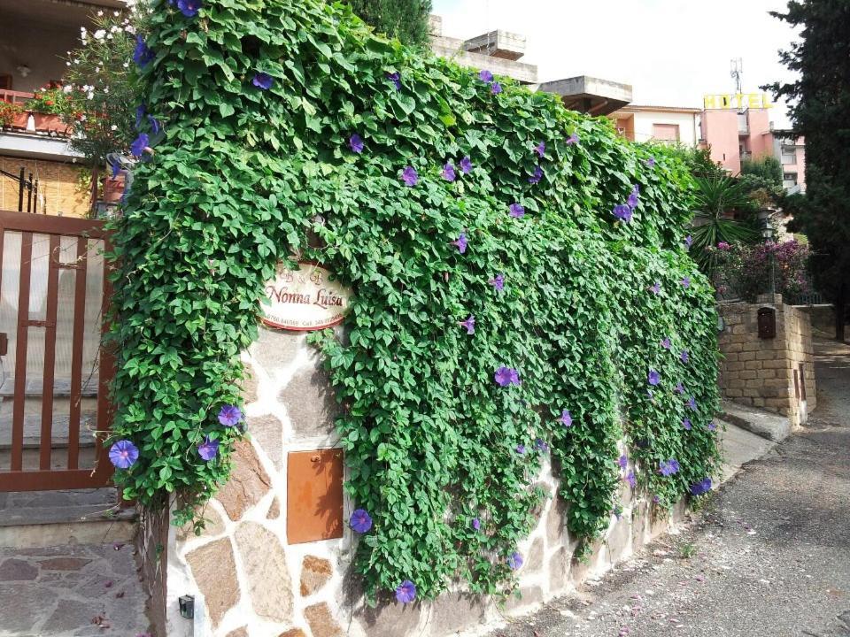 B&B Nonna Luisa Tarquinia Exterior photo